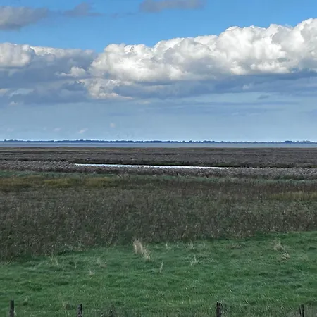 Lykke Huus Tinyhaus An Der Nordsee Mit Fasssauna * Schweiburg